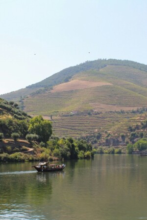 Imagem do Rio Douro e encostas